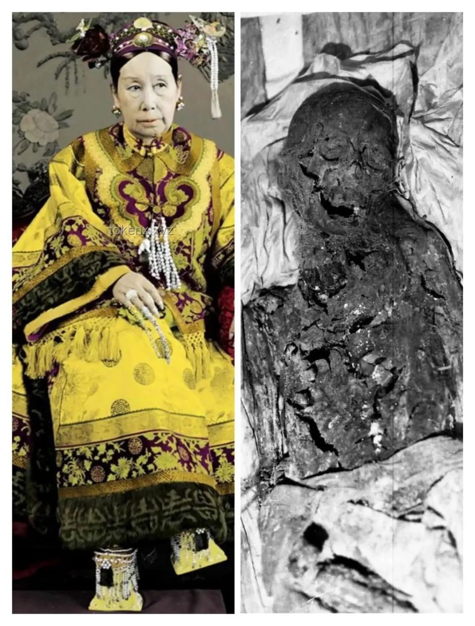 慈禧照片珍稀現(xiàn)世：歷史影像的文物價值與數(shù)字時代挑戰(zhàn)