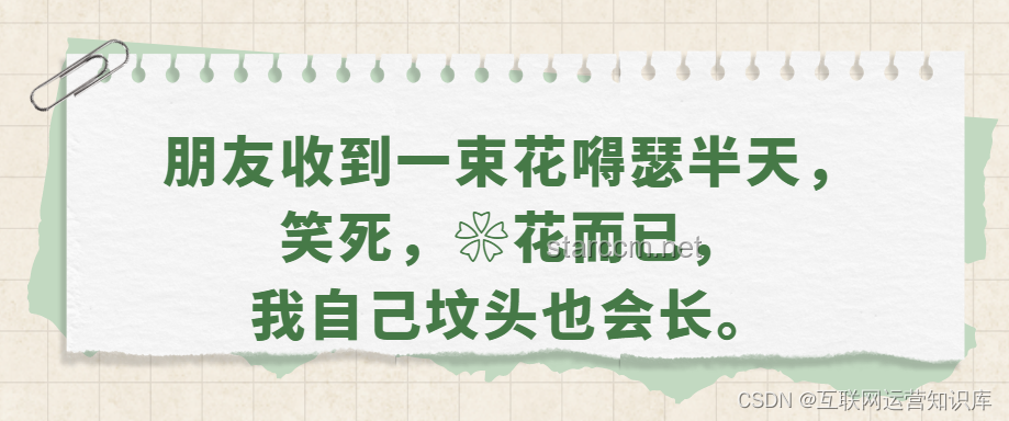 端午節(jié)這樣發(fā)，保證笑翻朋友圈：創(chuàng)意文案與行業(yè)趨勢(shì)深度分析