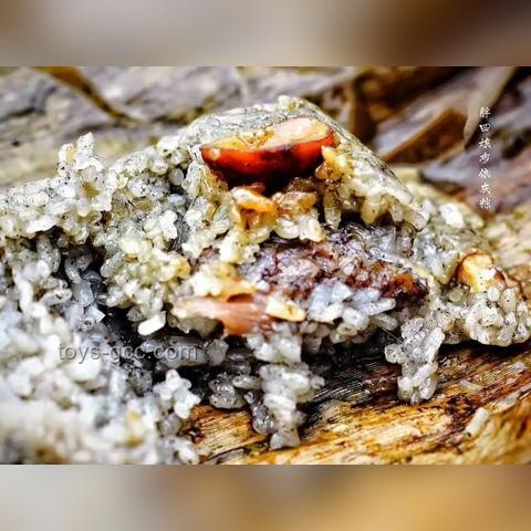 “征服”新視角：非物質(zhì)策略在情感關(guān)系建立中的深度解析