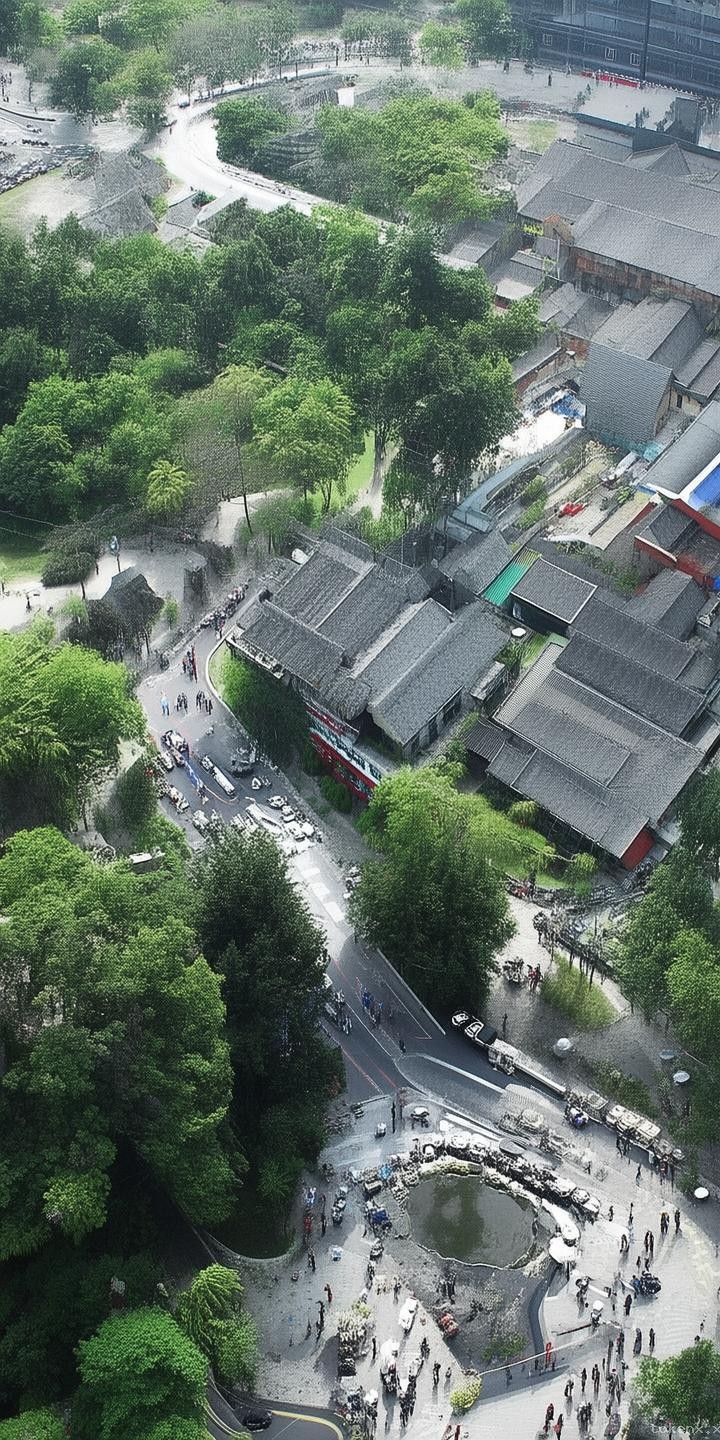 樊振東加盟德甲聯(lián)賽全攻略