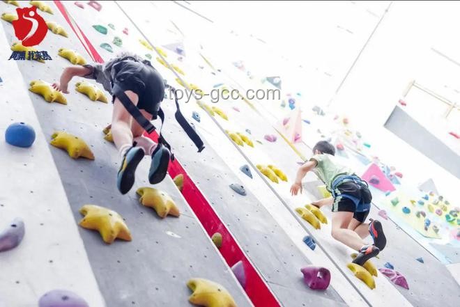 奧運高難度項目向大眾日常運動的轉(zhuǎn)型案例分析：以攀巖為例