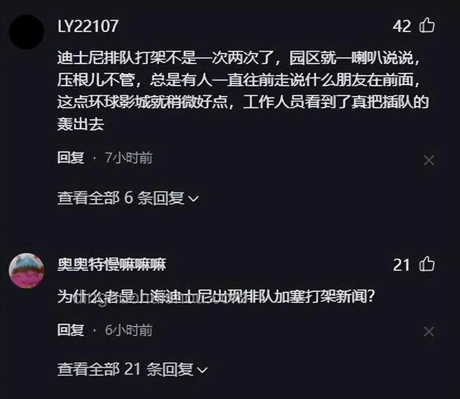 上海迪士尼游客打架事件解析及警方通報流程