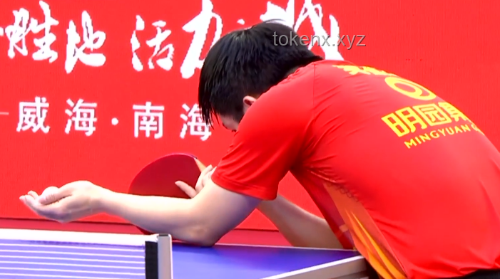 樊振東加盟德國(guó)乒乓球甲級(jí)聯(lián)賽案例研究