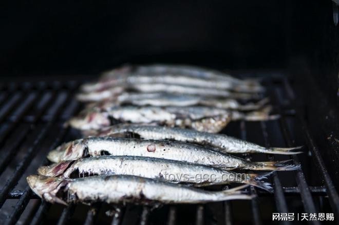 柳巖卡魚刺事件與常見急救措施對比分析