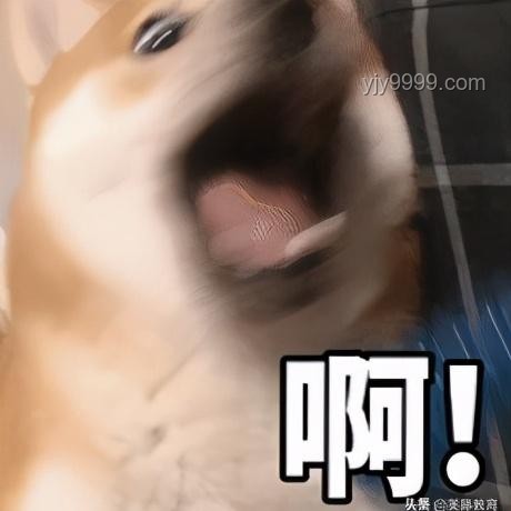 多國名校為何瘋搶哈佛留學(xué)生？
