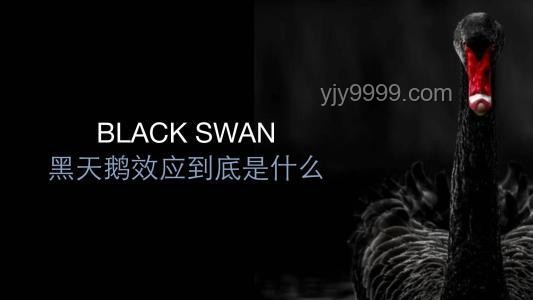 俄烏會(huì)談前夕的黑天鵝事件解讀