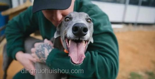 孩童遇惡犬攻擊防范知識(shí)