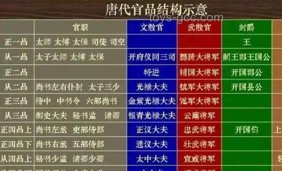 不同級(jí)別官員對(duì)比：探尋“你們見過的最大的官”級(jí)別差異