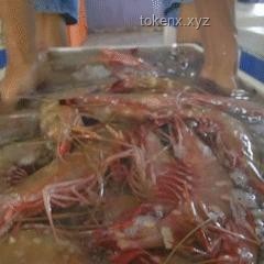 國足出征印尼25人大名單深度分析