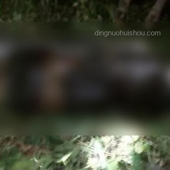 國(guó)足出征印尼25人大名單與球員實(shí)力分析