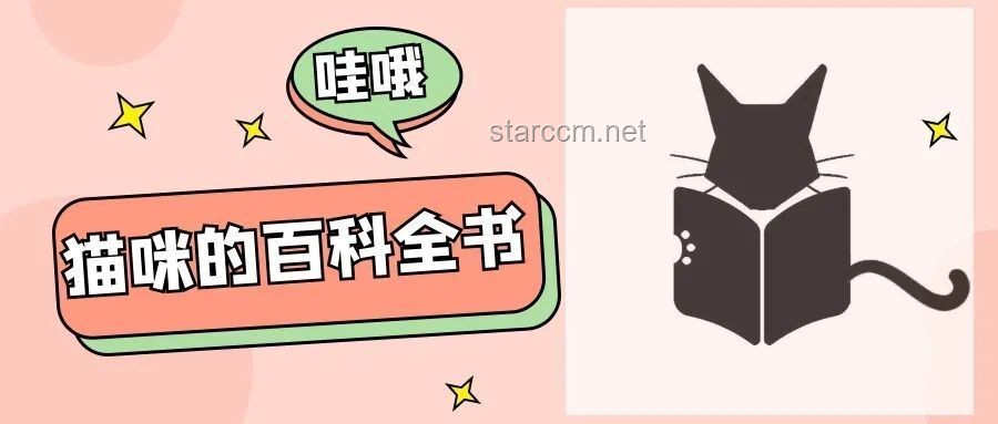 新的吧唧轉(zhuǎn)場創(chuàng)意實(shí)戰(zhàn)指南