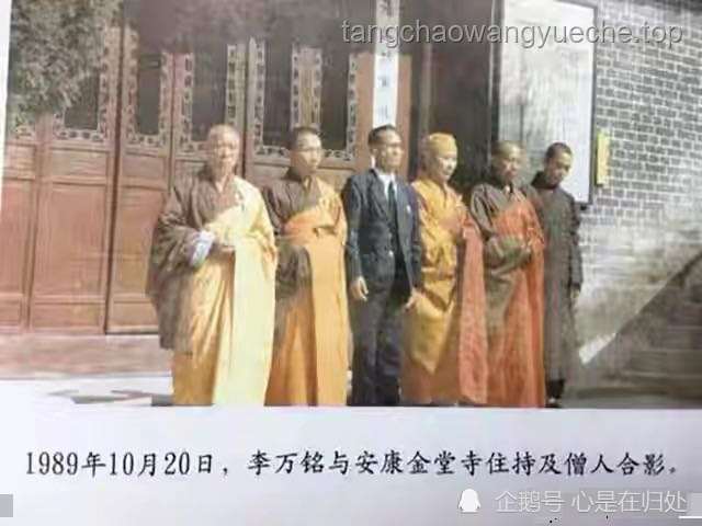 藏海傳蒯鐸雙重身份揭秘實操指南