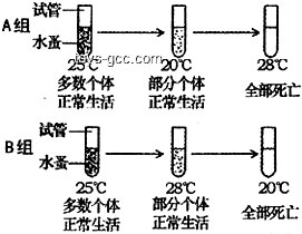 人長期生存的水溫范圍：恒溫水體中的奧秘