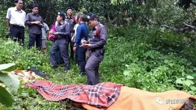 27歲女游客三亞遇蛇咬傷亡事件與旅游安全對比分析