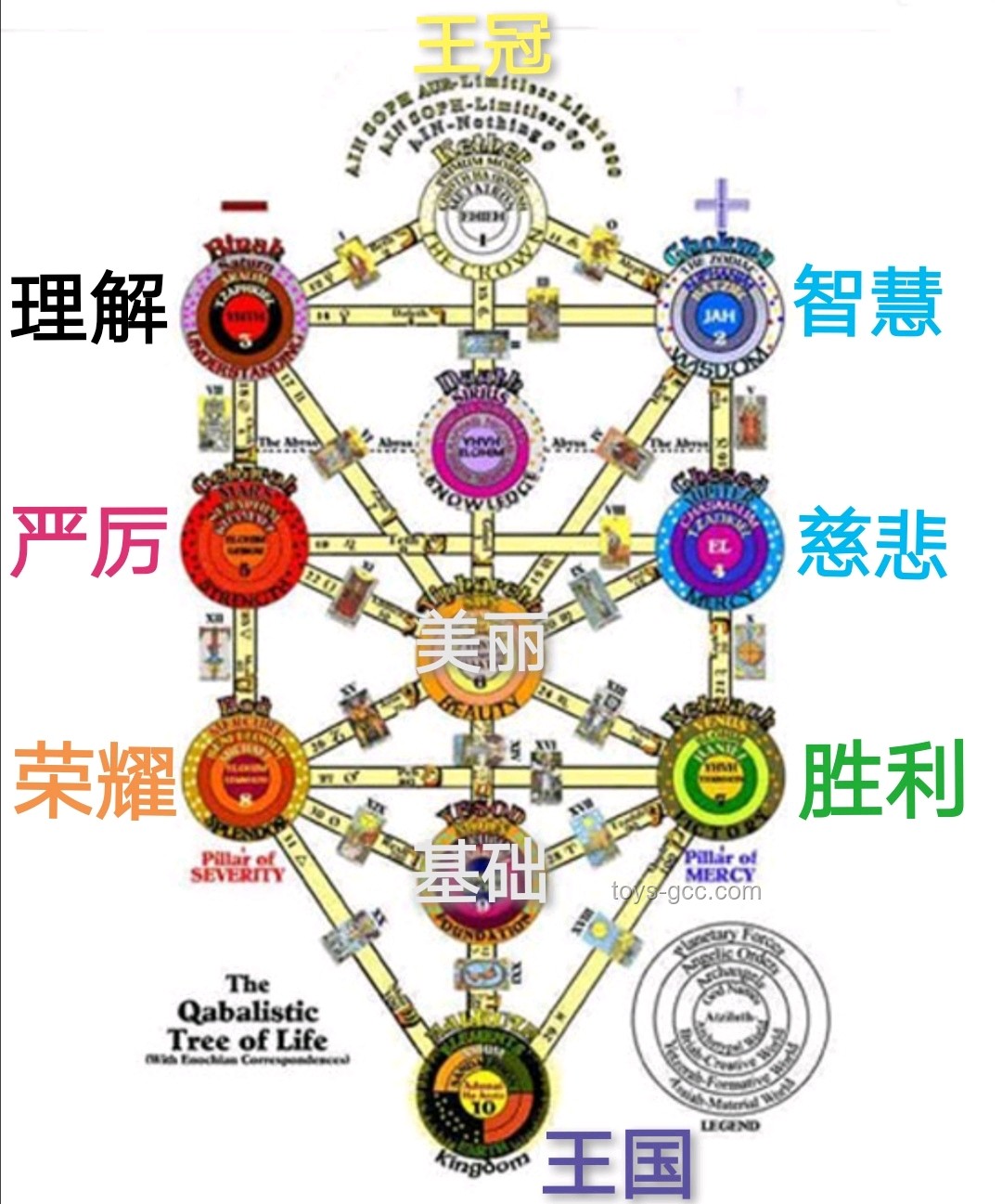 出逃卡皮巴拉與歸家豆包：體重變化的對比分析