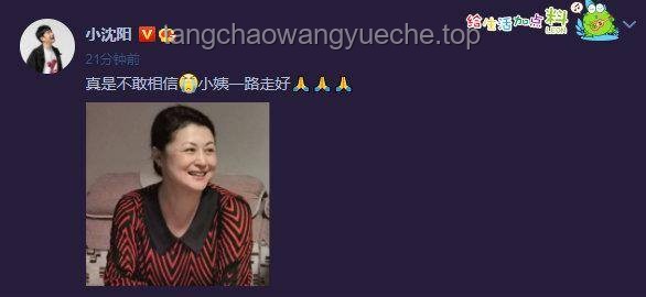 一開始，新舊項目啟動情感對比：自豪與感動并存