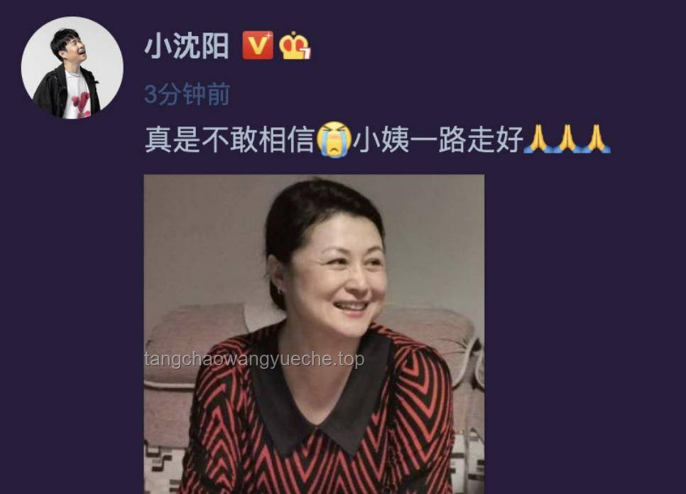 一開始，新舊項目啟動情感對比：自豪與感動并存