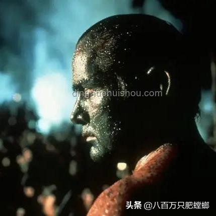 雨林奇遇：UP主荒野求生的創(chuàng)新冒險(xiǎn)啟示錄,跨界生存挑戰(zhàn)
