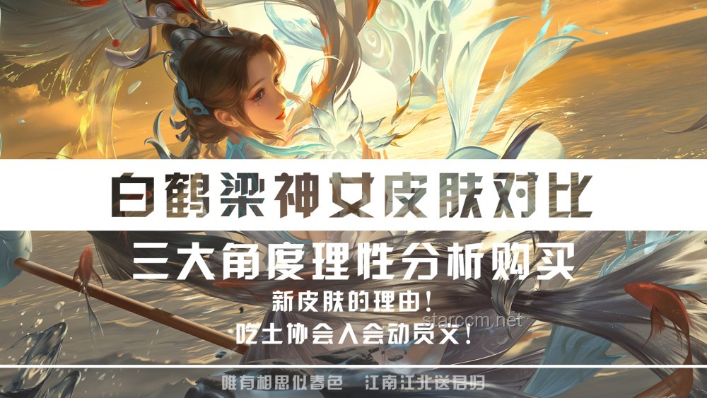 白月光與守護者：情感角色對比分析