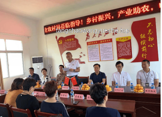 鄉(xiāng)村助教新視角：透視10后小學(xué)生的教育現(xiàn)狀與挑戰(zhàn)