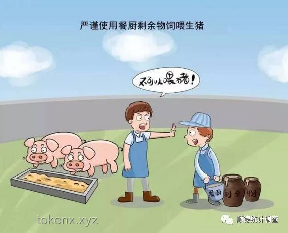 挑戰(zhàn)搬水泥買非洲之心：毅力與夢想的完結(jié)篇