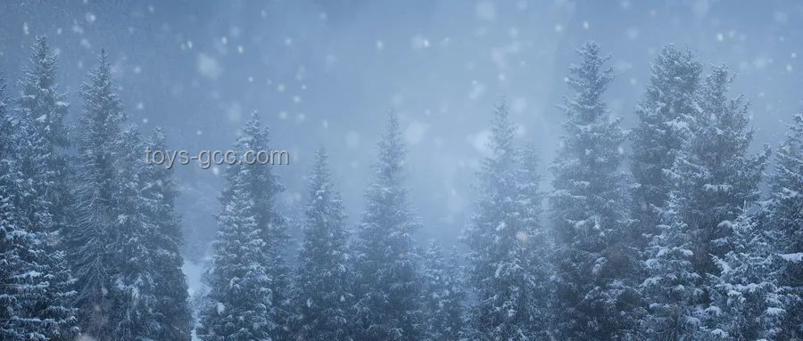 冬季日第一集大雪應(yīng)對(duì)方案