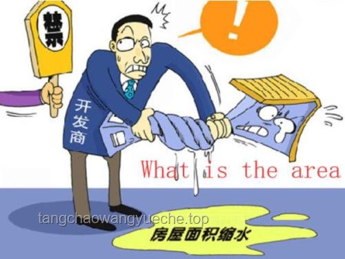 討厭選擇？全面解析“全買了”策略的利弊