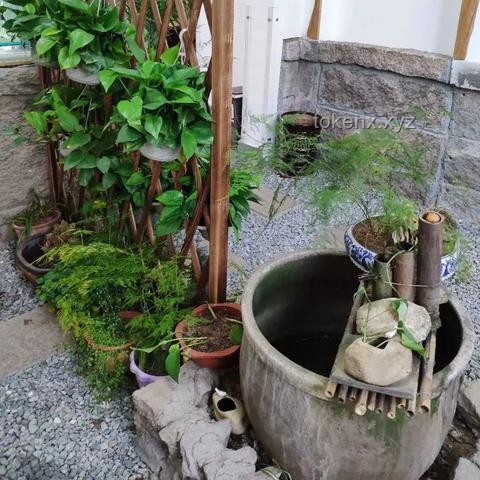 貓咪電影院開業(yè)啦：寵物經(jīng)濟下的新型娛樂業(yè)態(tài)深度剖析