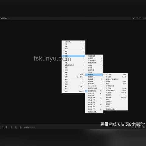 字幕制作者幕后與臺前：影響力與認知度對比