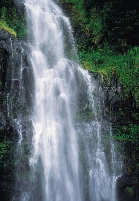 S彎溪流硬抗暴雨恢復(fù)指南：重現(xiàn)瀑布石景生態(tài)