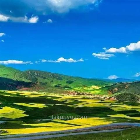 行業(yè)共治，守護(hù)消費(fèi)安全——今日旁觀之禍，明日共擔(dān)之責(zé)
