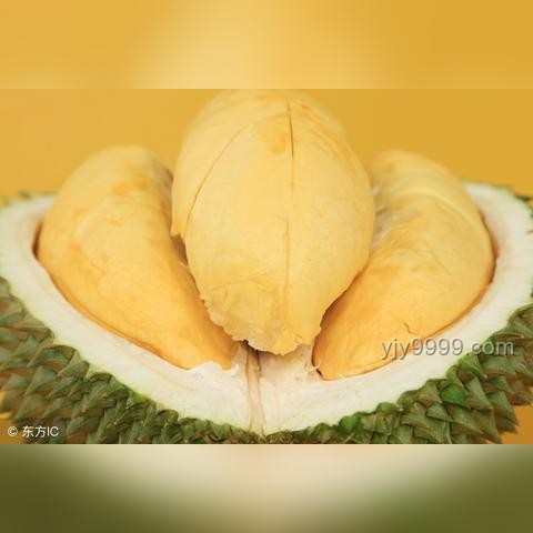 經(jīng)期多吃榴蓮可緩解痛經(jīng)？解析榴蓮對痛經(jīng)的潛在影響