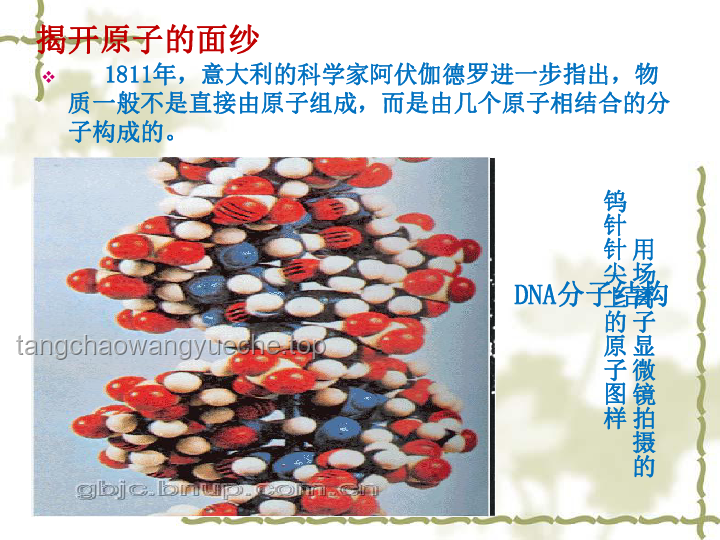 發(fā)明魔芋食用與加工方法前輩的歷程探索