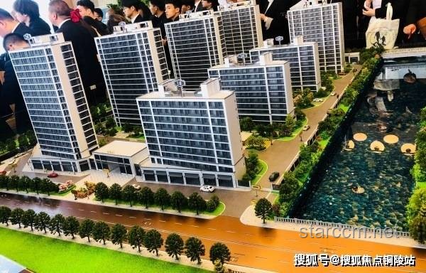 ?????揭秘“36D”背后的真實含義與自我接納之旅