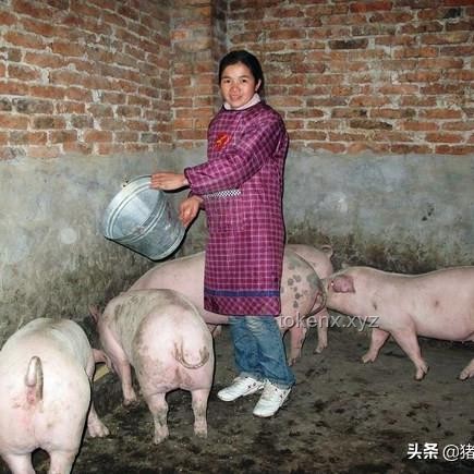 第三波救市政策與前兩輪對比
