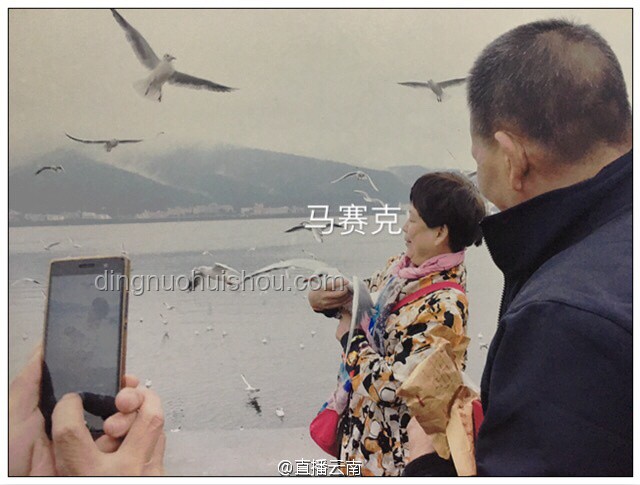 無良游客行為警示：她如何被無心之失所毀