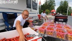 1500元切糕擺攤創(chuàng)業(yè)案例研究：大項目的收益預(yù)期與實踐