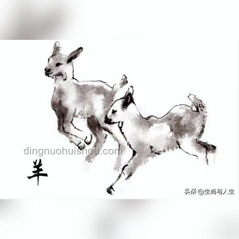 從“猴”到“人”的自我發(fā)現(xiàn)之旅??????