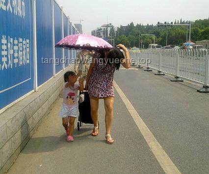 偉大母愛行動：雨中撐傘的感人瞬間