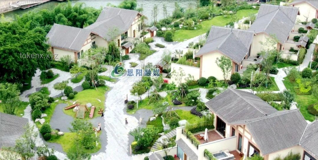 龍舟賽事新體驗：傳統(tǒng)與“一鏡到底”沉浸式對比