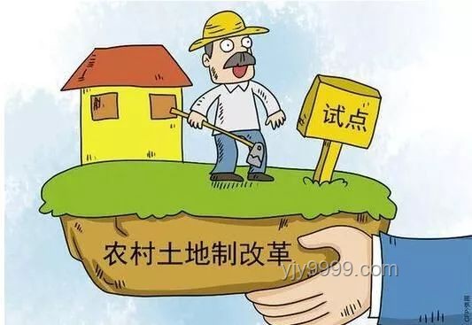 10后小學(xué)生教育趨勢(shì)：鄉(xiāng)村助教視角下的變革與前瞻
