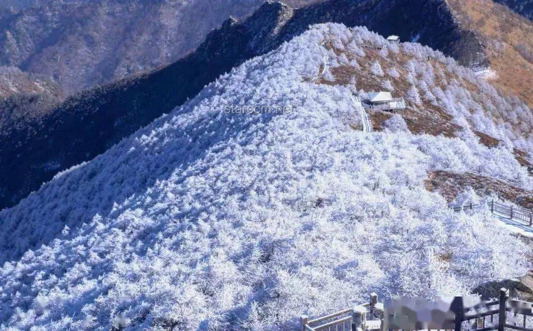 冬季日初·雪境創(chuàng)新啟示錄，大雪，靈感迸發(fā)