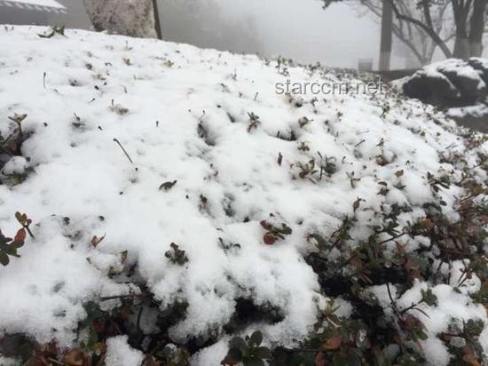冬季日初·雪境創(chuàng)新啟示錄，大雪，靈感迸發(fā)
