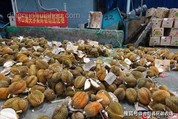 天價垃圾變廢為寶指南：榴蓮蟲、發(fā)霉鹽等別再扔！