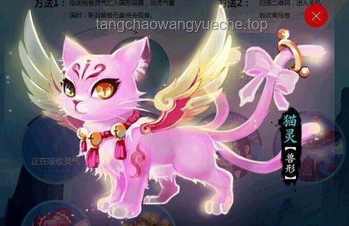 呆貓獸神1養(yǎng)成攻略：惡魔果實(shí)喂養(yǎng)神獸技巧