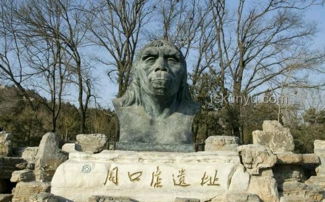 人類直立行走極端小概率事件探析