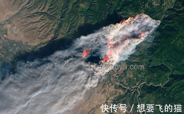 人類直立行走極端小概率事件探析