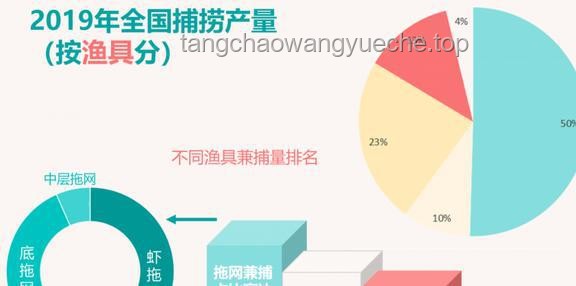 人類直立行走極端小概率事件探究