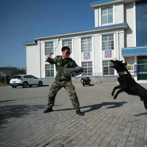 高考行業(yè)深度洞察：加油逐夢，夢想成真之路