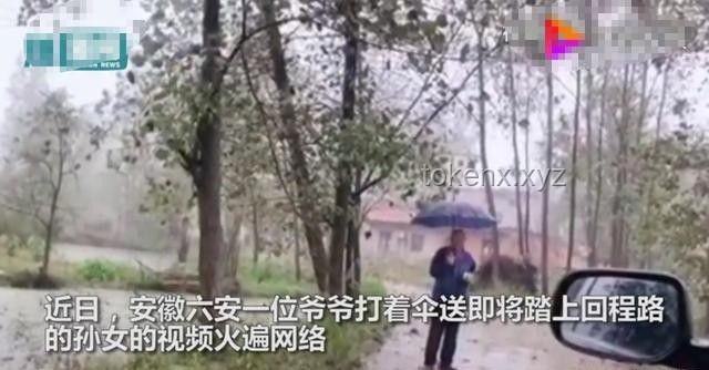偉大母愛VS個(gè)人犧牲：雨中撐傘行為的對(duì)比分析
